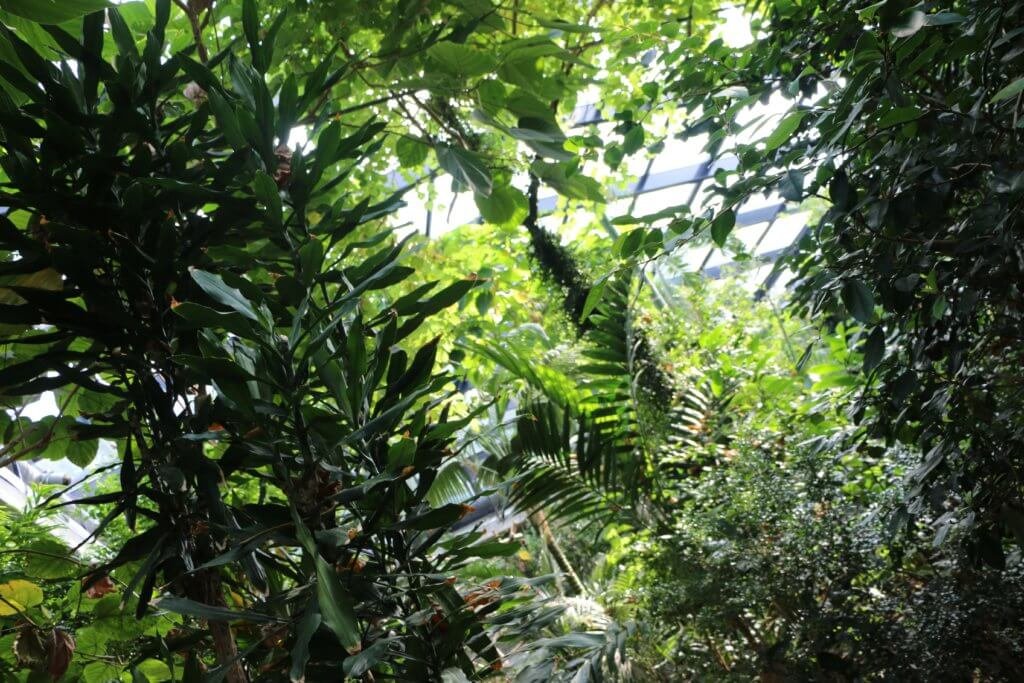 🦁 동물공원 켐니츠(티어파크 켐니츠)